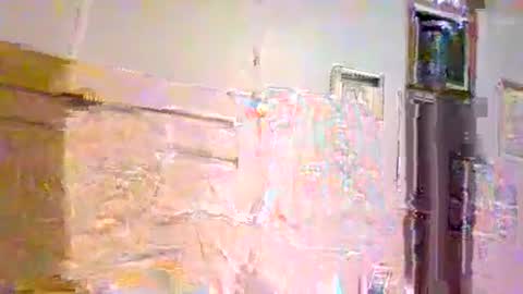 007_springer online show from 03/23/26, 09:57