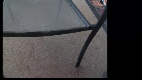 10mm_socket online show from 09/29/25, 01:33