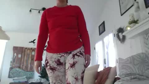 Aurora Willows online show from 01/17/26, 05:38