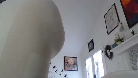 Aurora Willows online show from 01/19/26, 03:27