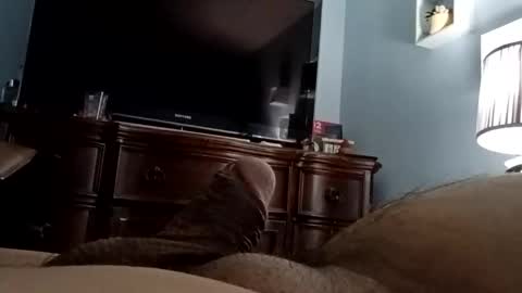 Snapshot of 12345marihtc chatting on 11/24/25, 03:06 12345marihtc online show from 11/24/25, 03:06