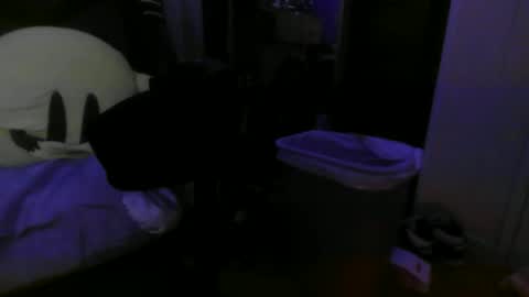 1337assman1337 online show from 10/21/25, 09:54