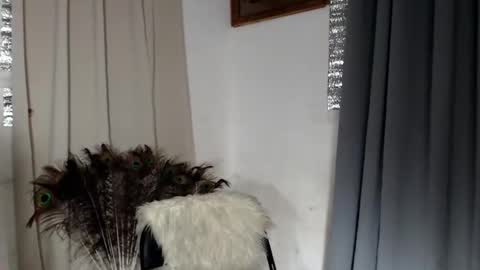 barbie online show from 02/08/26, 01:58