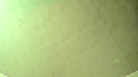 Snapshot of 19adam98 chatting on 03/08/25, 12:33 Adam and Venus online show from 03/08/25, 12:33