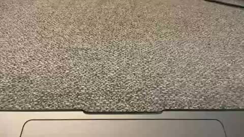 1arkansasguy online show from 01/01/25, 02:52