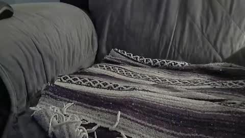 1badboy360 online show from 12/09/24, 01:13