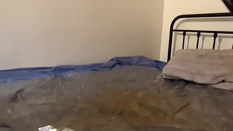 1toxiclust online show from 11/29/25, 02:36