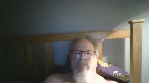 2003dynawideglide online show from 07/28/26, 12:51