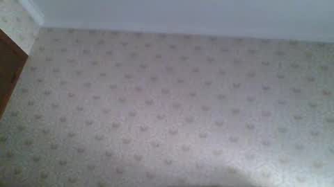 23player online show from 04/22/26, 12:35