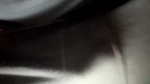 Snapshot of 24robin chatting on 02/05/26, 08:46 24robin online show from 02/05/26, 08:46