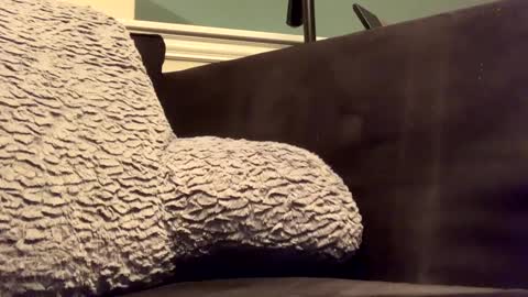 25923 online show from 01/14/25, 11:58