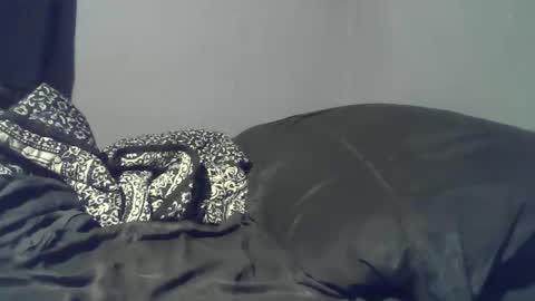 cheif online show from 04/22/26, 02:14