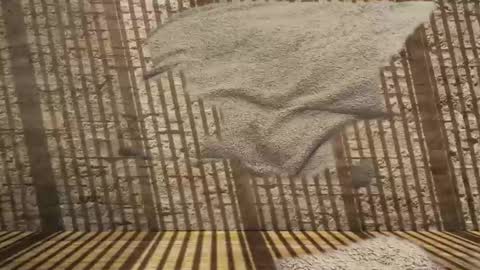 2hairrypigs online show from 01/31/26, 07:23