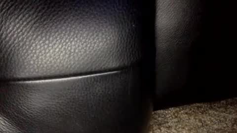 30nick online show from 01/18/26, 06:39