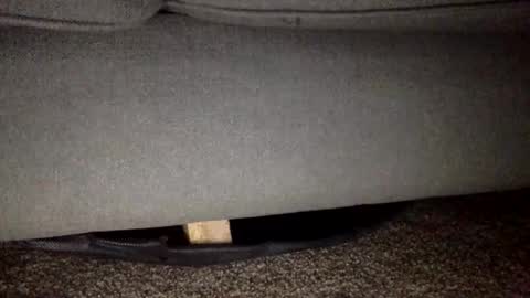 30nick online show from 02/25/26, 05:50