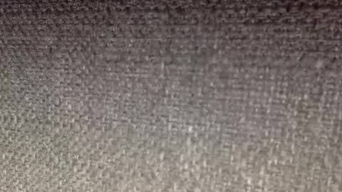 30nick online show from 04/19/26, 08:24