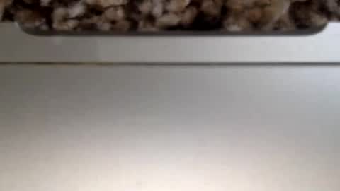 30nick online show from 06/11/26, 07:23