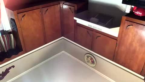 33adidas online show from 11/08/25, 11:54