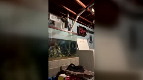 33adidas online show from 03/19/26, 08:18