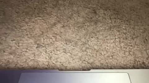 3dging_sub online show from 03/13/26, 03:24