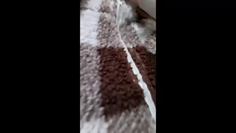 3X NAXAA online show from 02/15/26, 01:20