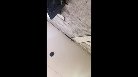 3X NAXAA online show from 03/03/26, 01:17