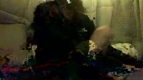 420alwayshard online show from 04/19/26, 11:31