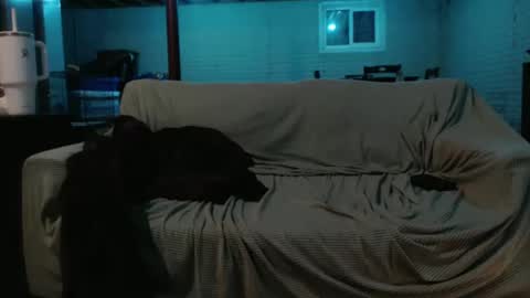 Snapshot of 420bunnie chatting on 02/26/25, 07:20 420bunnie online show from 02/26/25, 07:20