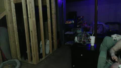 Snapshot of 420bunnie chatting on 03/01/25, 03:53 420bunnie online show from 03/01/25, 03:53