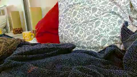 Daddy online show from 01/31/26, 07:11