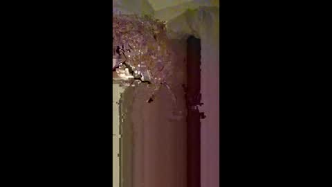 Zeus online show from 02/22/26, 03:40