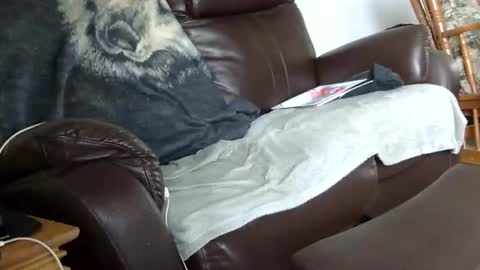 Snapshot of 66bear chatting on 12/14/25, 03:28 66bear online show from 12/14/25, 03:28