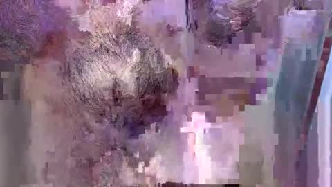 69bidam online show from 12/14/25, 02:11