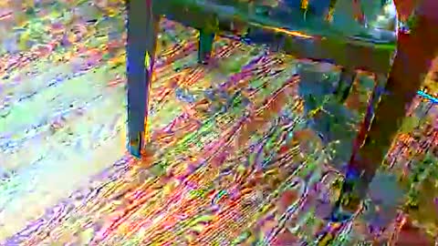 69forever453443 online show from 11/24/25, 01:55