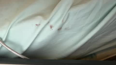 FUCKR online show from 09/12/25, 08:14