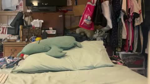 FUCKR online show from 03/17/26, 04:50