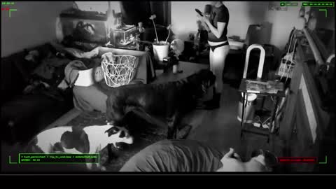 Snapshot of 6vyr_vlt9 chatting on 12/17/25, 04:57 Voyeur Vault online show from 12/17/25, 04:57