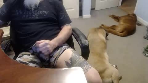 MASTIFF online show from 10/13/25, 05:02