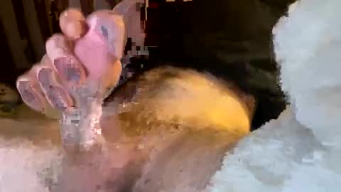 7inlng online show from 06/01/26, 12:56