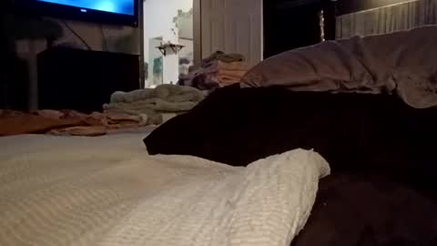 7lairddip online show from 03/30/26, 06:36