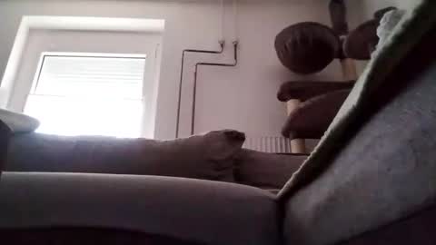 88piterr88 online show from 02/24/25, 07:22