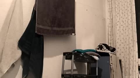 88piterr88 online show from 02/25/26, 03:16