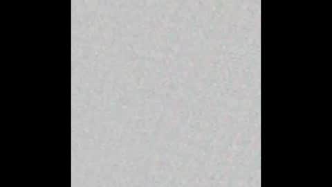 8Inchpunkpup online show from 03/27/26, 07:57