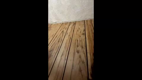 97versa online show from 06/07/26, 10:08