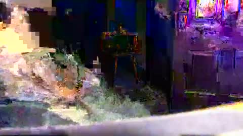 99ez99 online show from 01/16/26, 07:56