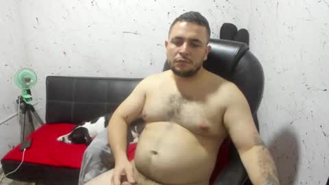 Snapshot of _ace_ventura chatting on 02/14/26, 04:42 ---- online show from 02/14/26, 04:42