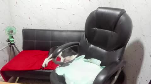 Snapshot of _ace_ventura chatting on 03/07/26, 05:04 ---- online show from 03/07/26, 05:04