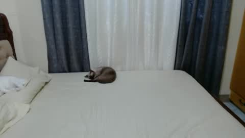 Amber online show from 12/01/24, 09:26