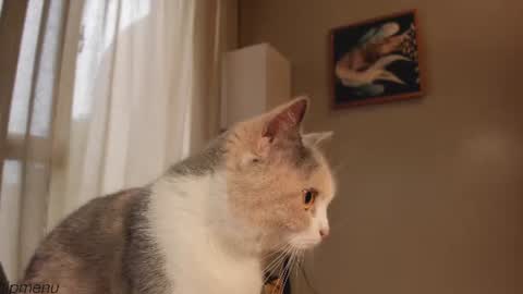 annie . online show from 07/23/26, 03:48
