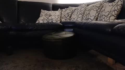 Snapshot of _b0rn4porn_ chatting on 09/11/25, 12:00 b0rn4porn online show from 09/11/25, 12:00